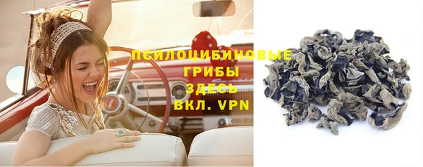 ешки Михайлов