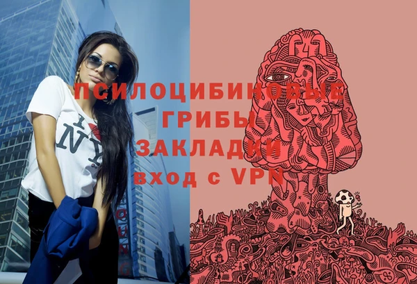Альфа ПВП Михайловск